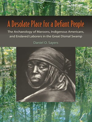 cover image of A Desolate Place for a Defiant People